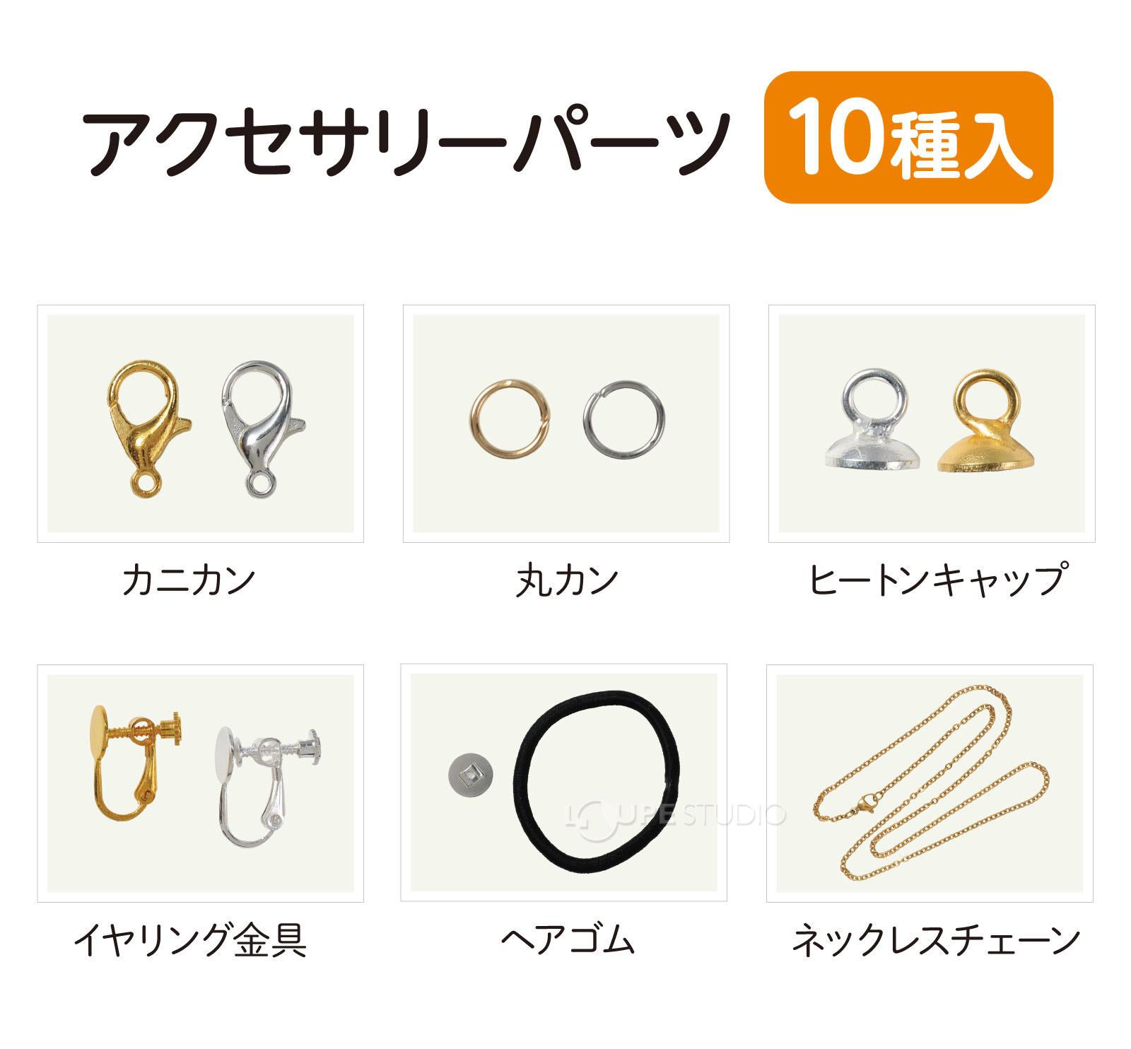 10種入 