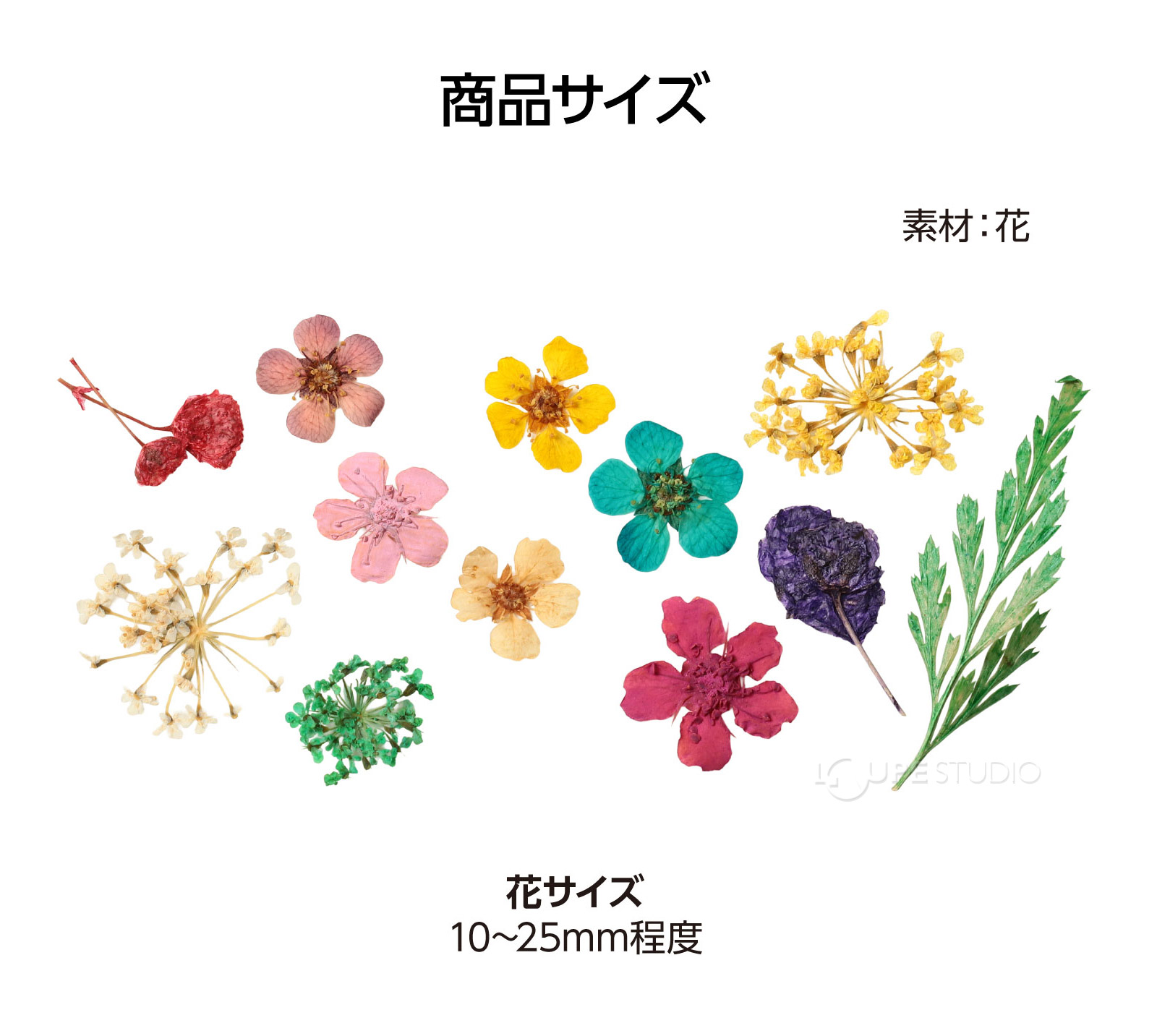 サイズ 