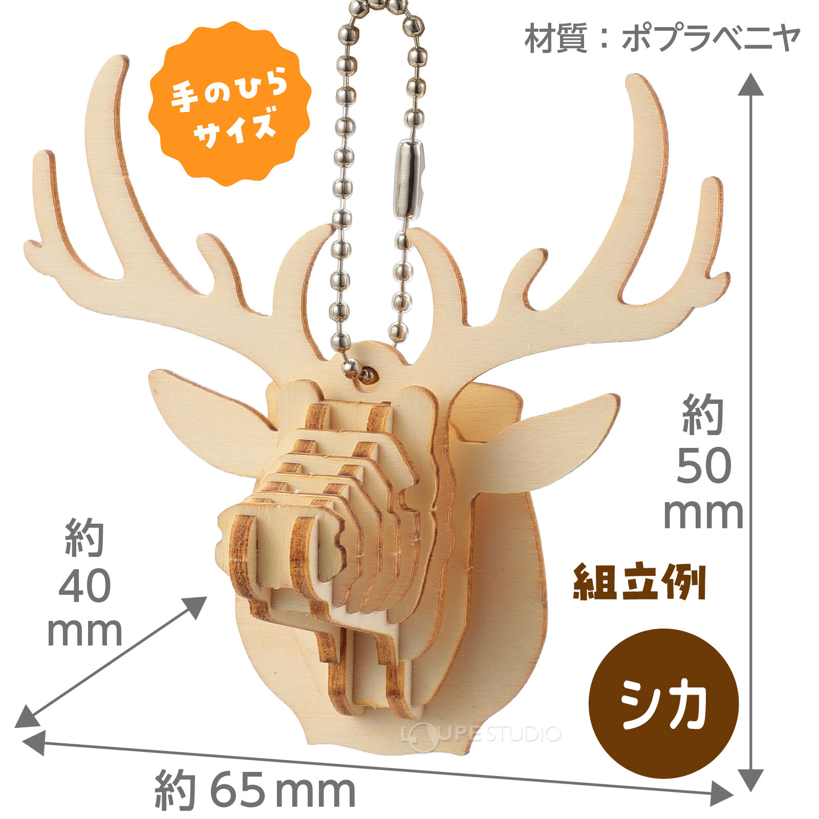 サイズ 