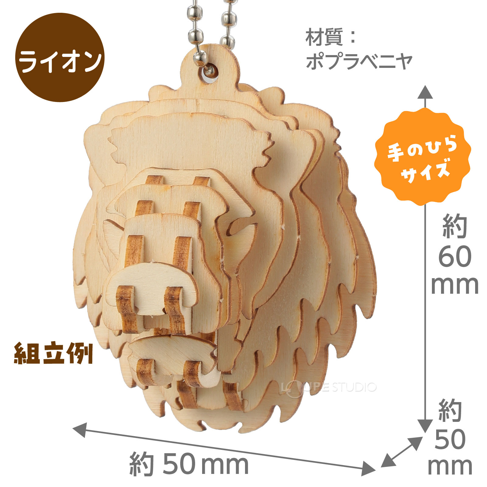 サイズ 