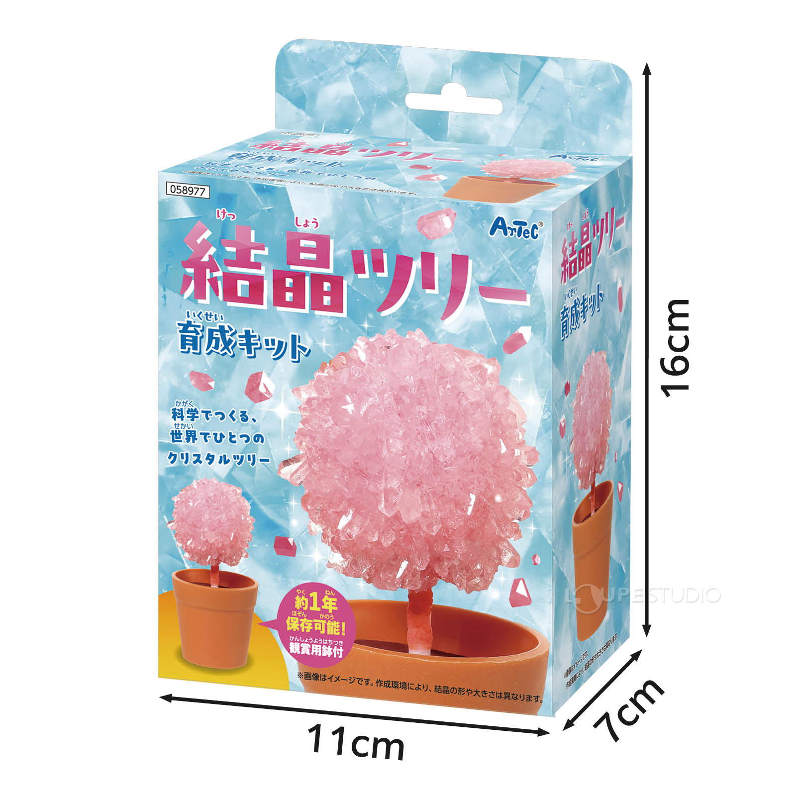 サイズ 