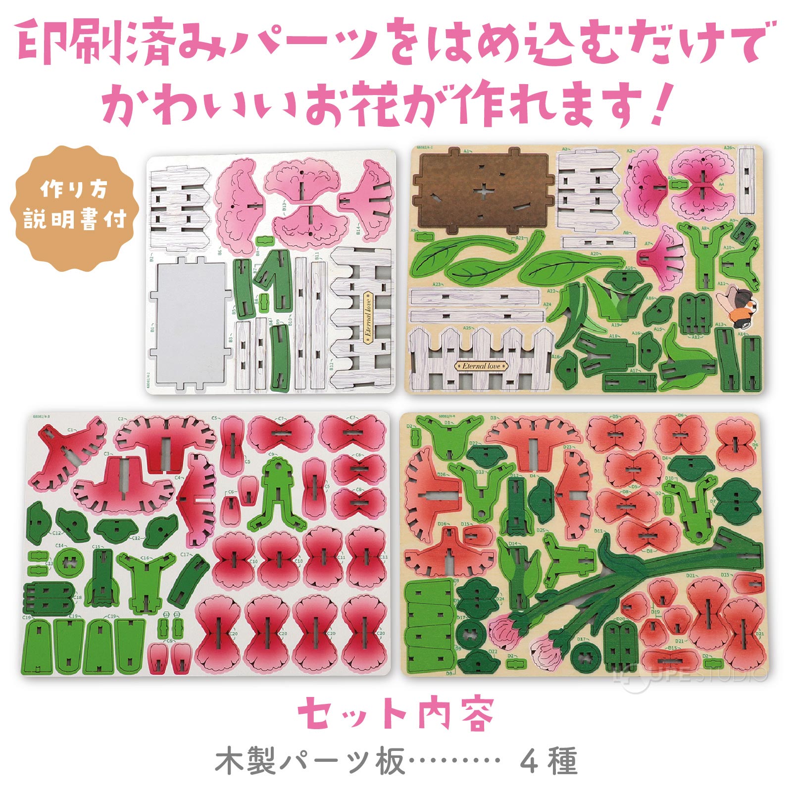 カーネーション 