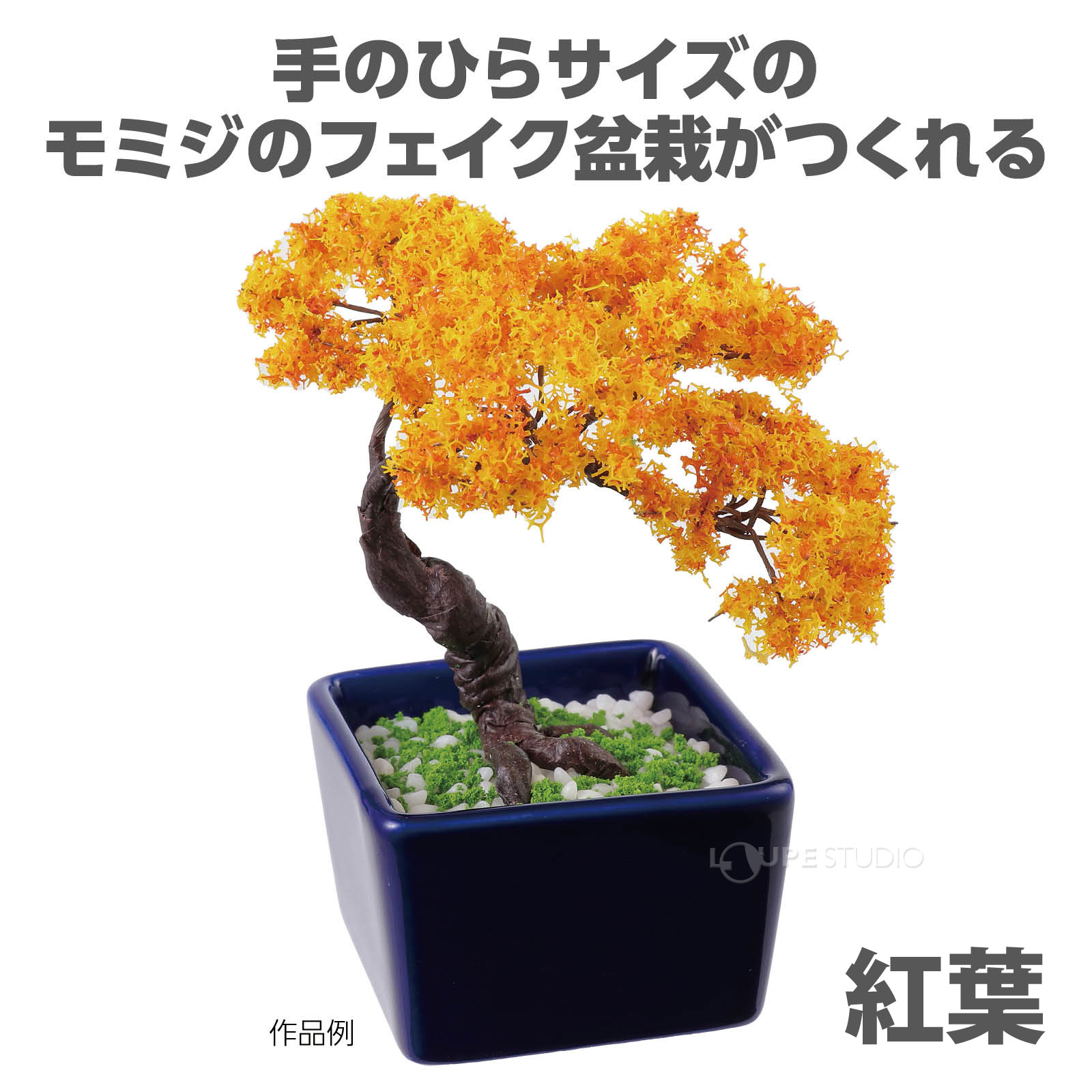 紅葉 