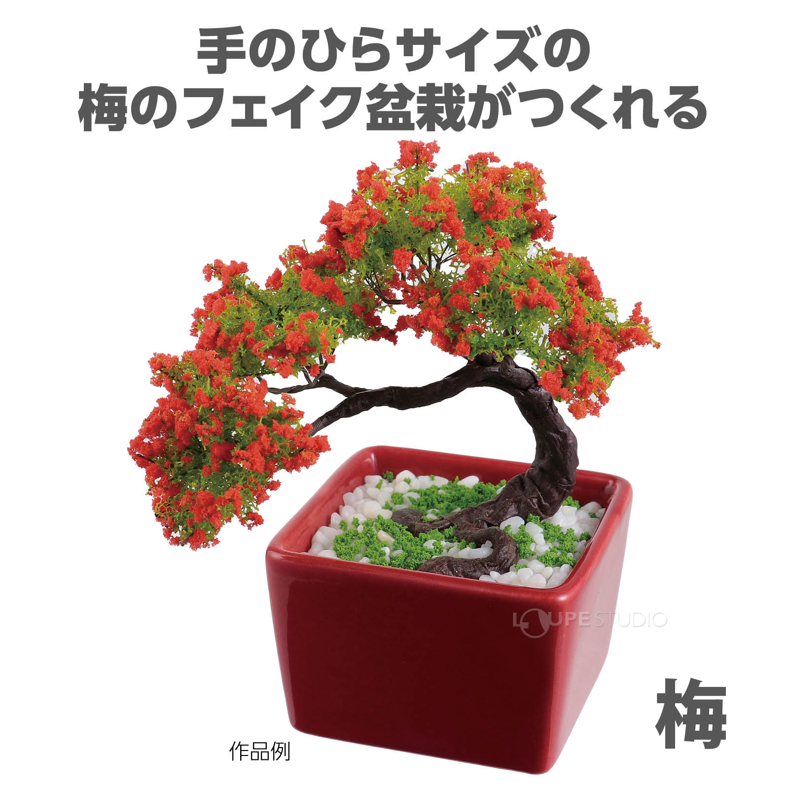 梅 