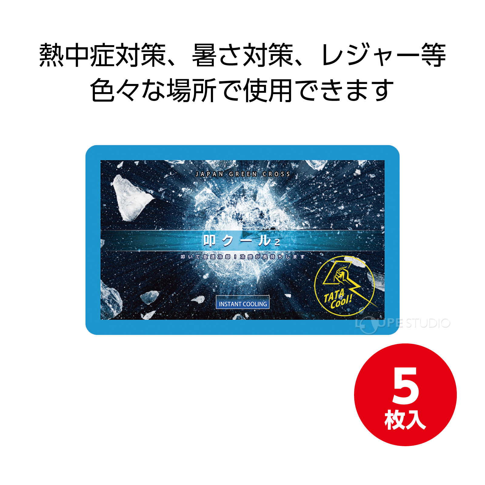 5枚入 