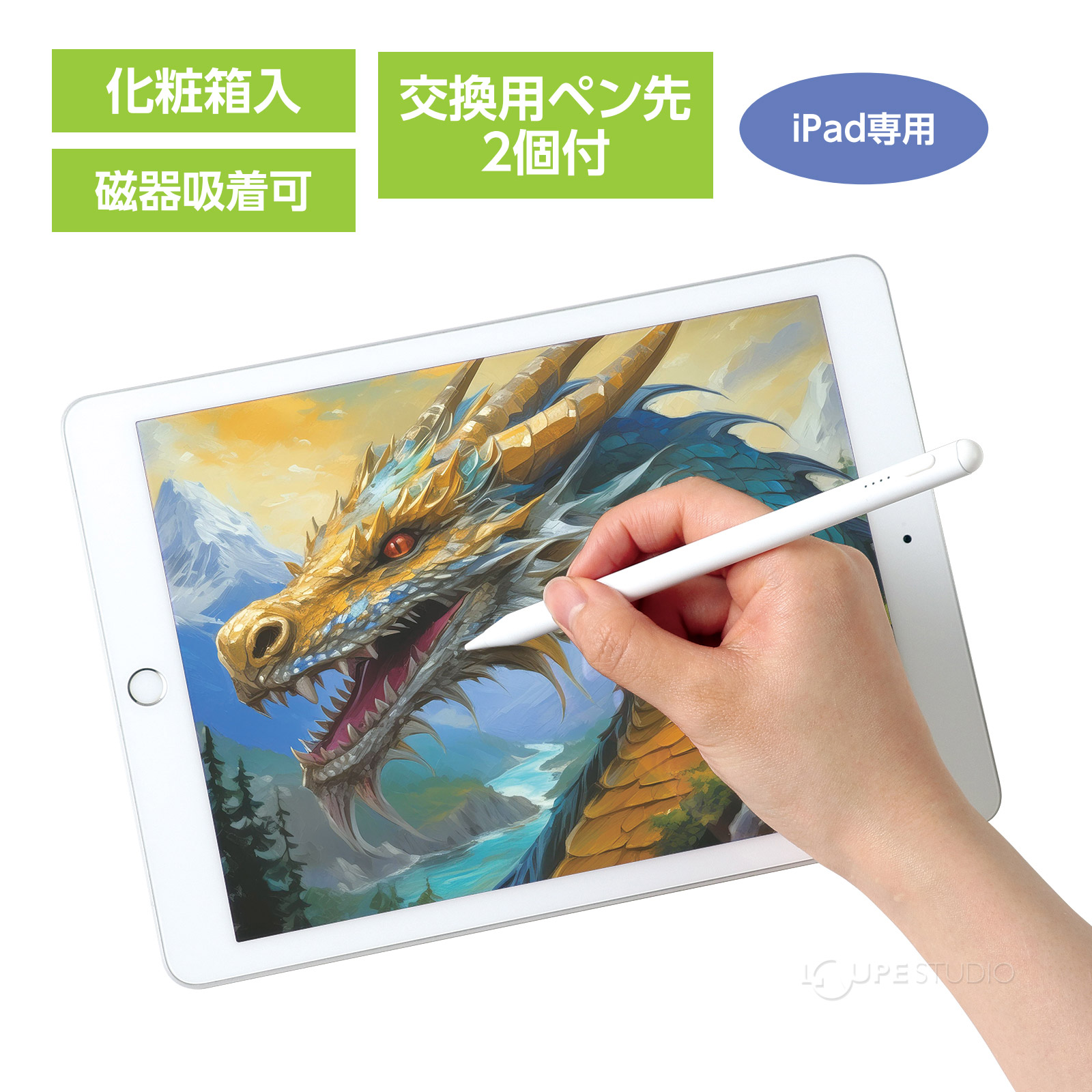 iPad専用 