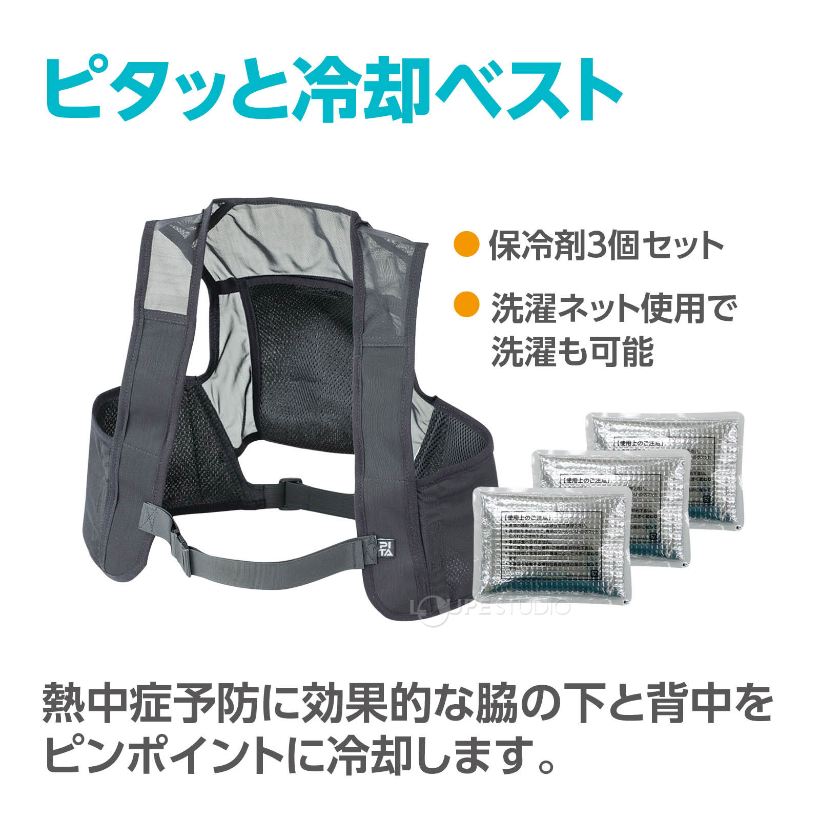 セット内容 