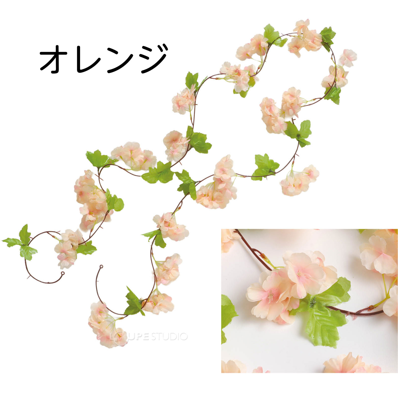 オレンジ 