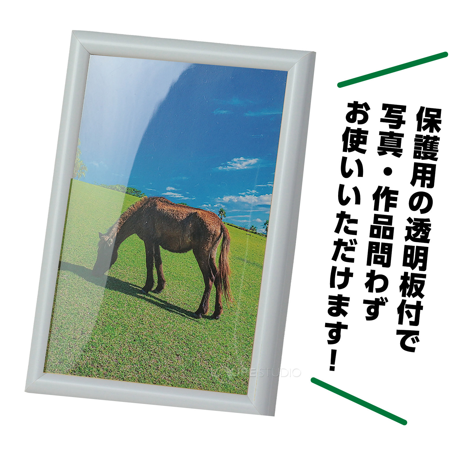 透明板付 