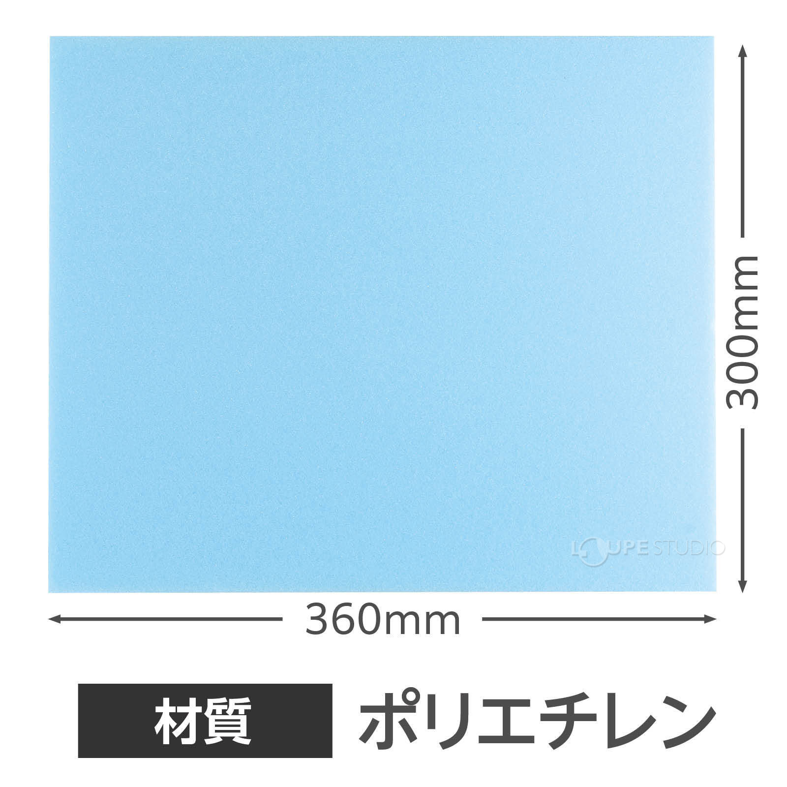 サイズ 