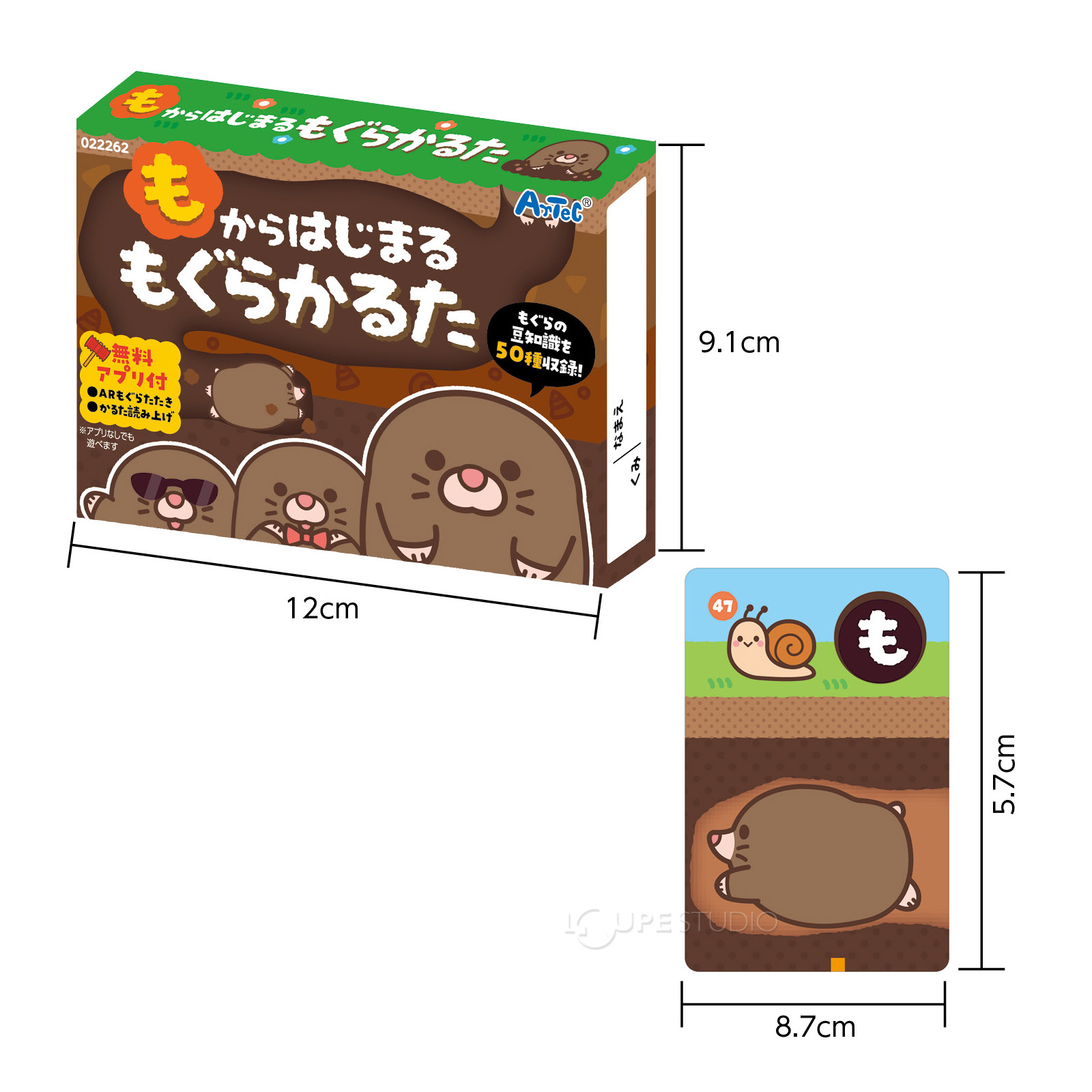 サイズ 