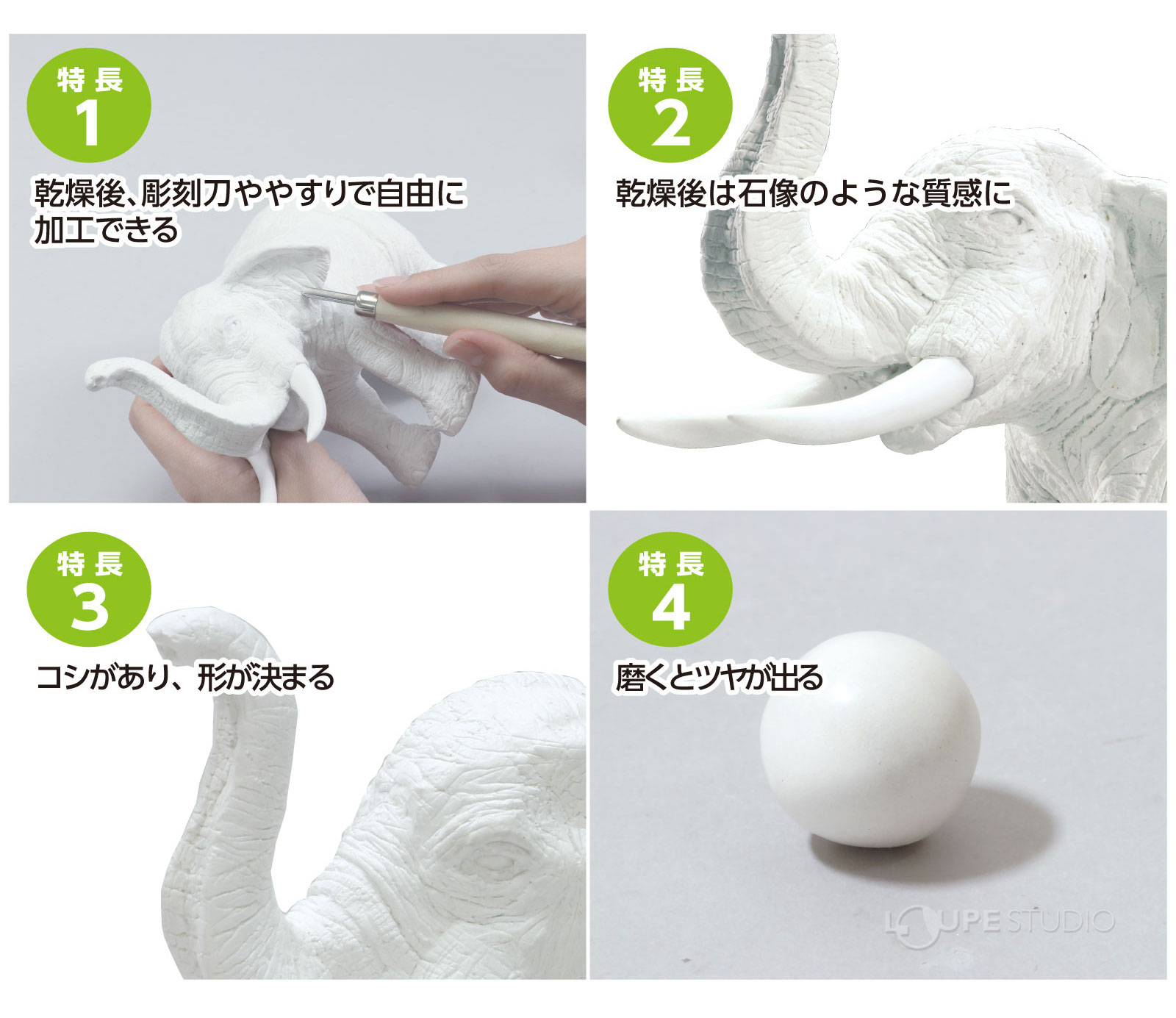 特長 