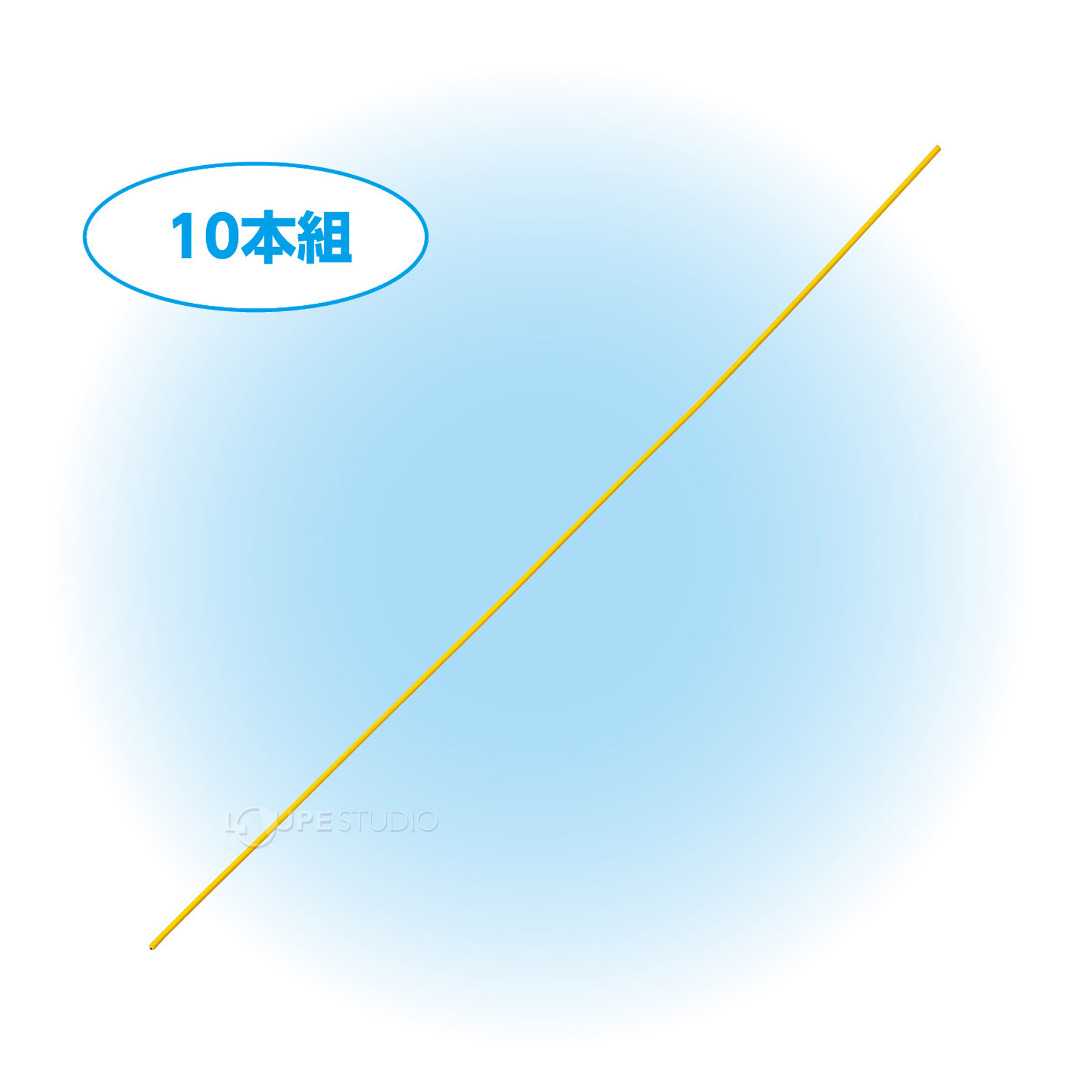 10本入 