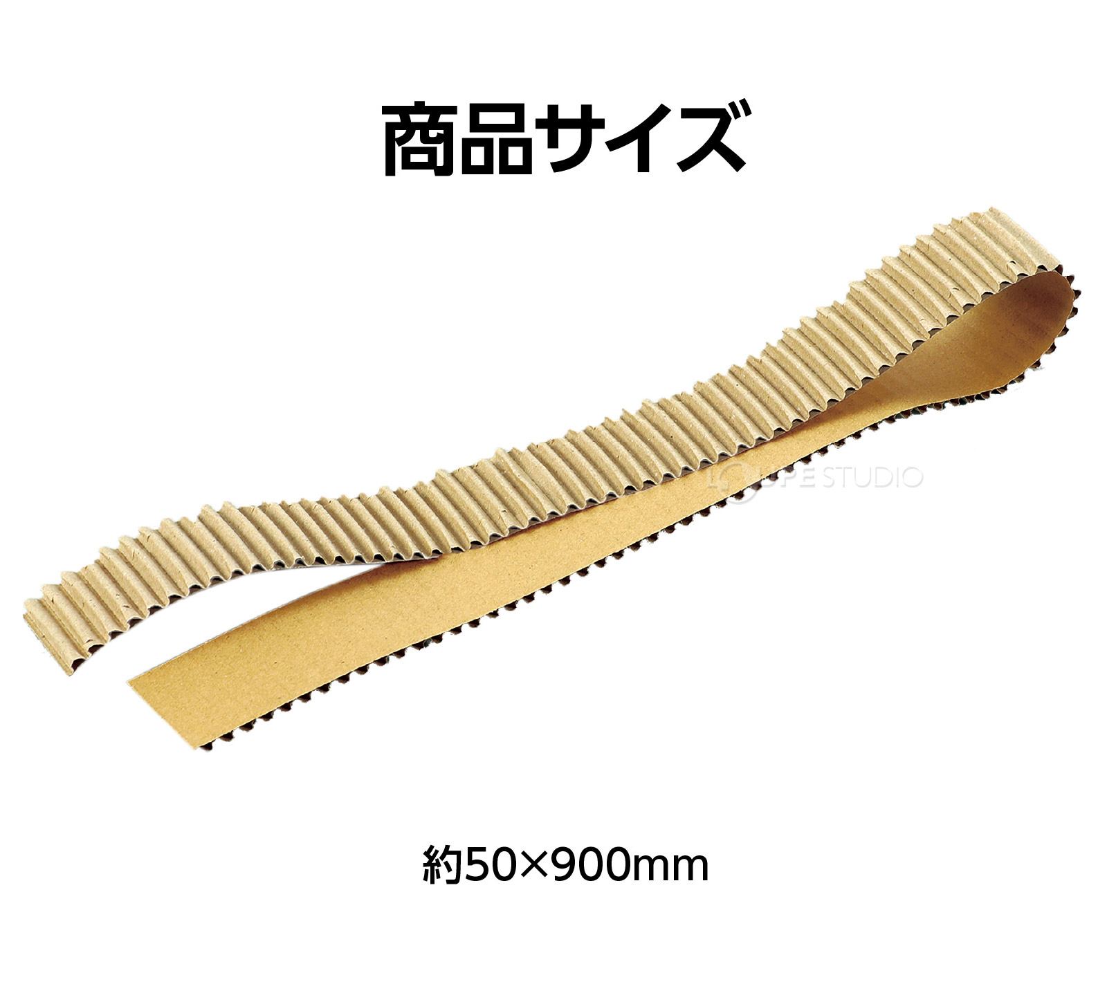 サイズ 