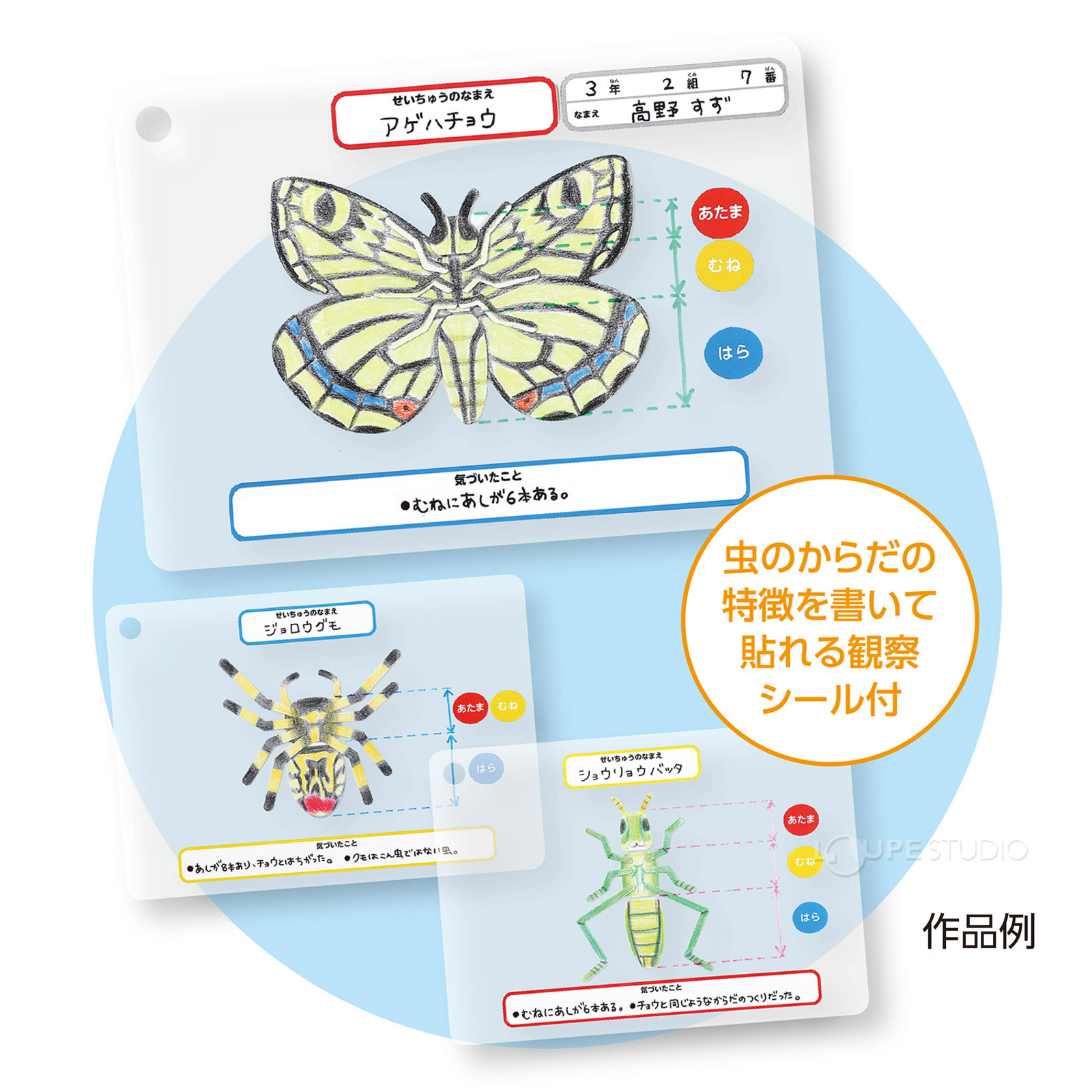 作品例 