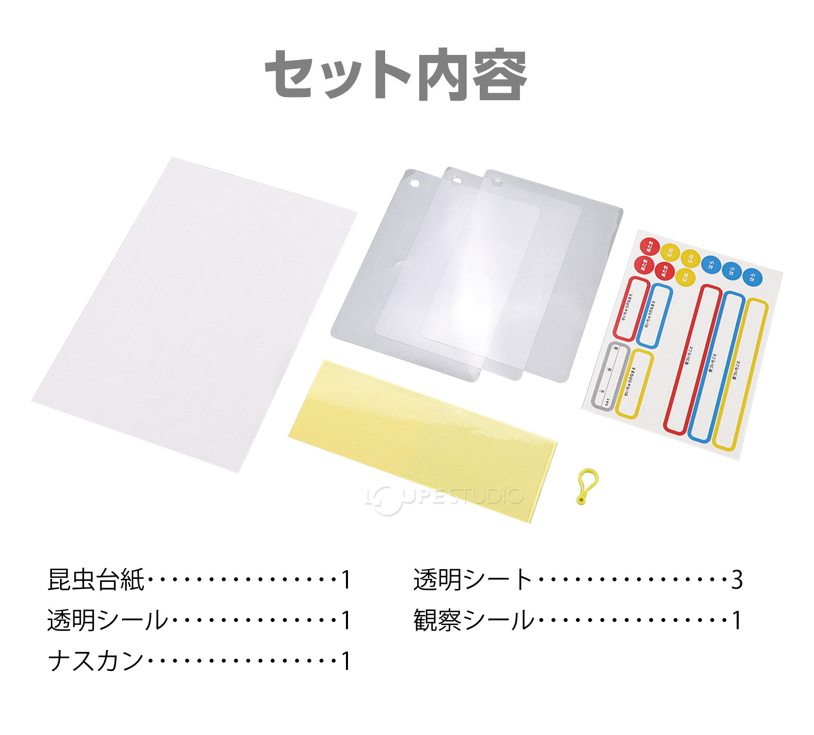 セット内容 