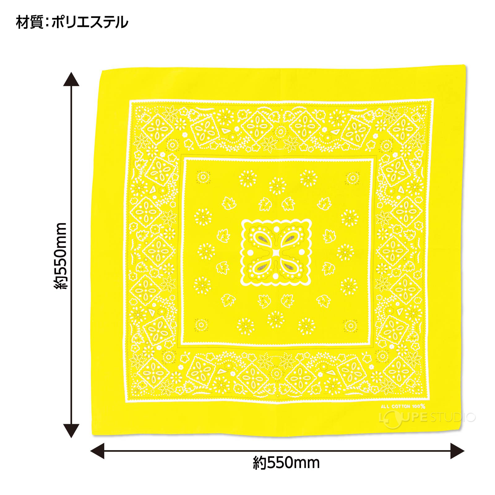 サイズ 