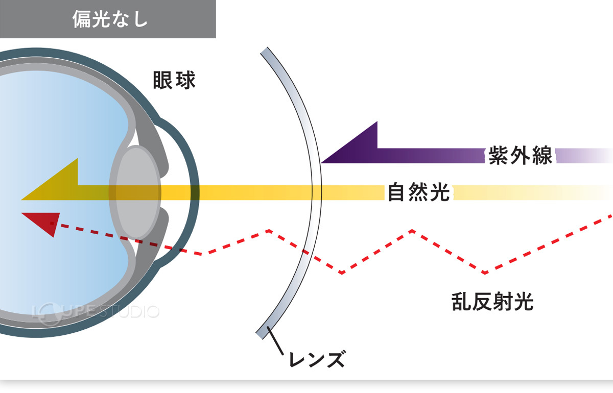 偏光レンズ 