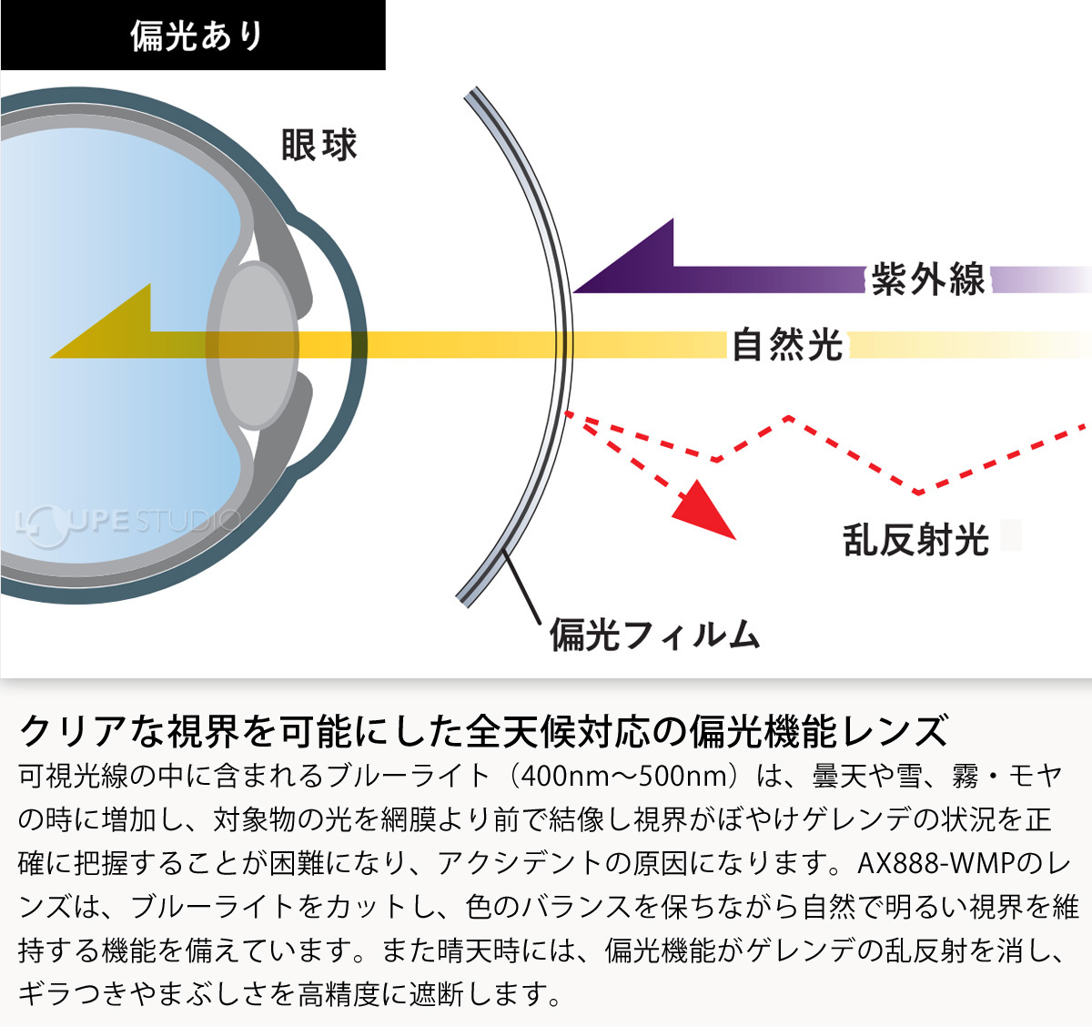 偏光レンズ 