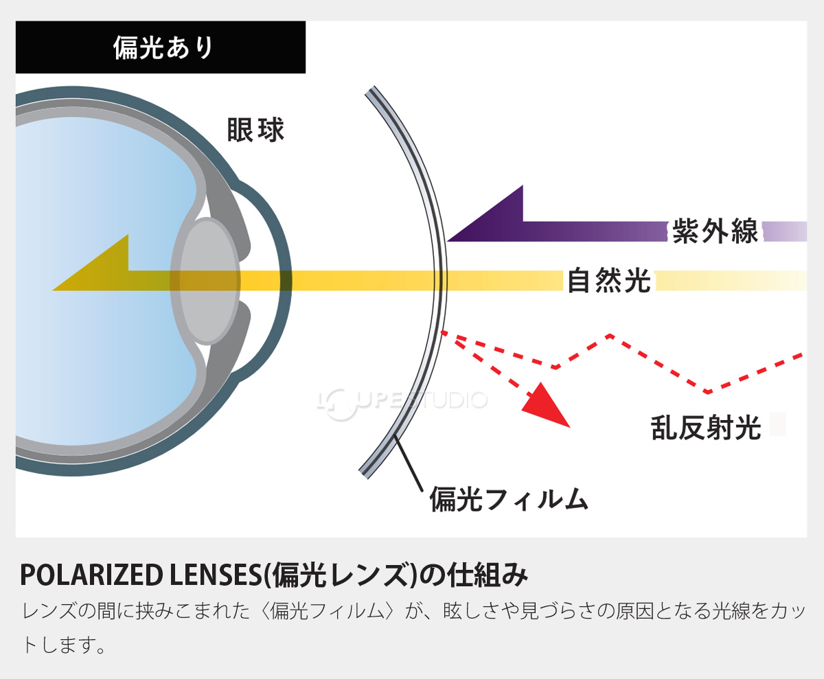 偏光レンズ 