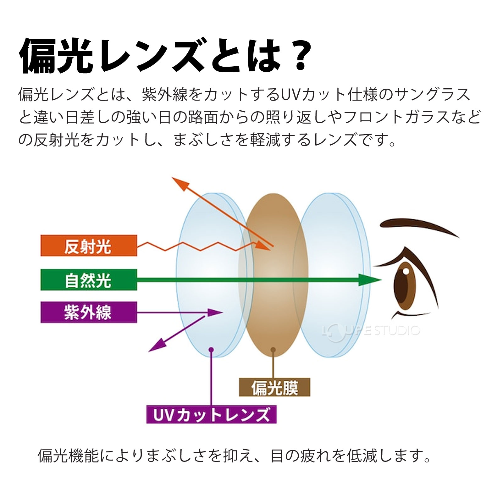 偏光レンズ 