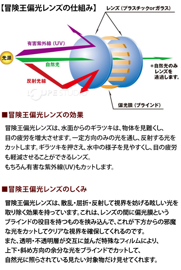 冒険王偏光レンズの仕組み 