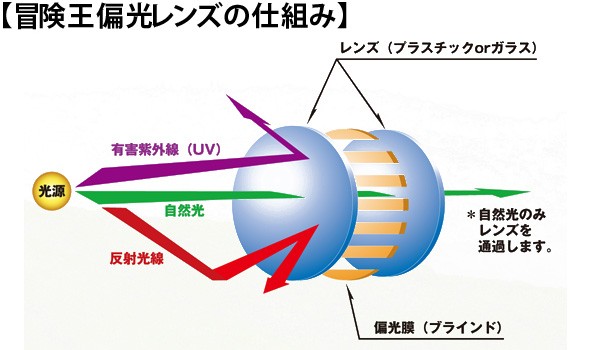 偏光レンズの仕組み 