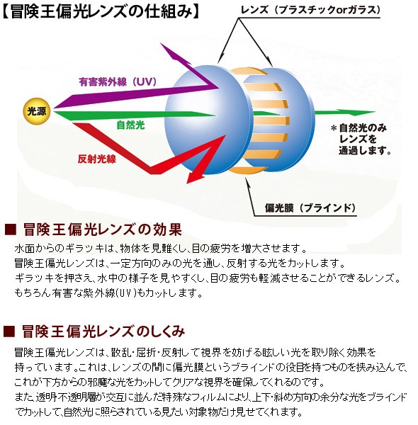 冒険王偏光レンズの仕組み 