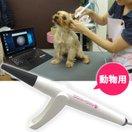 動物用 耳用内視鏡 みみえ〜るワン コデン 耳 トリマー 犬 ペット 観察