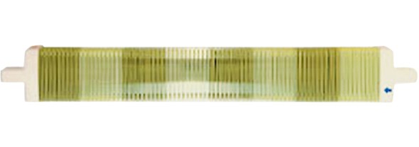 40羽ソウコウ[40cm] 