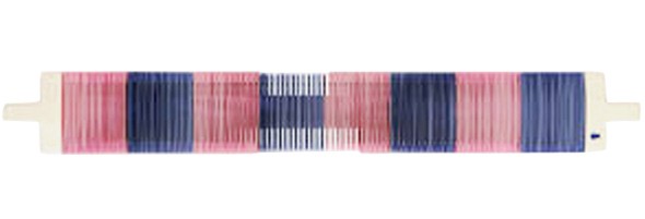 50羽ソウコウ[40cm] 