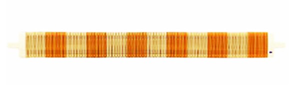 30羽ソウコウ[60cm] 