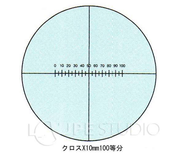 スケールイメージ 