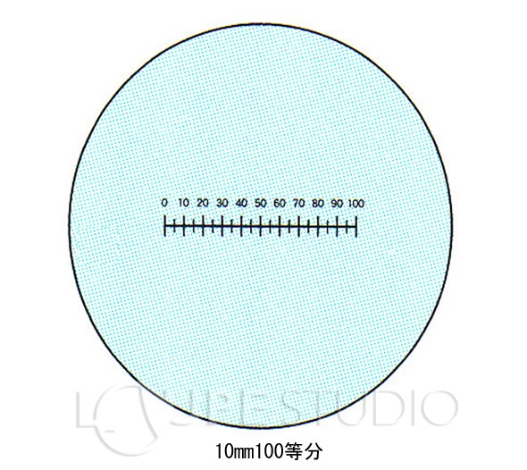 スケールイメージ 