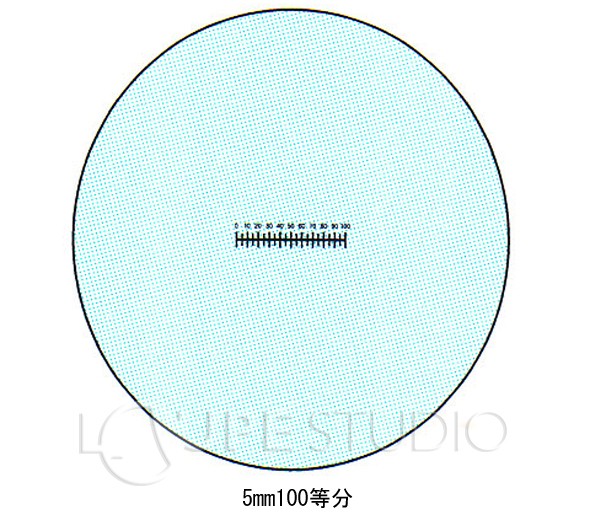 スケールイメージ 