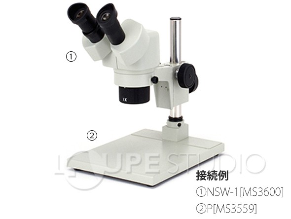 実物のイメージ