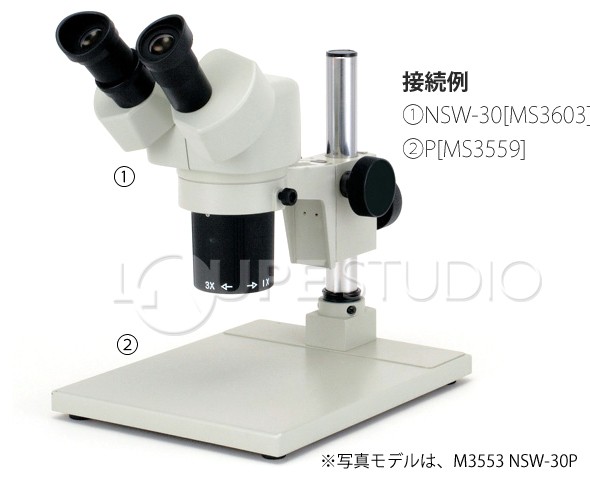 実物のイメージ 