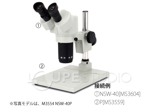 実物のイメージ 