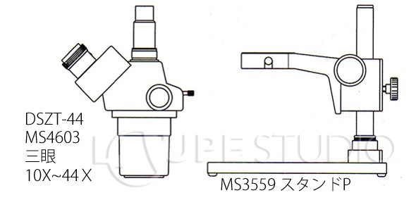 ヘッドとスタンドのイラストイメージ 