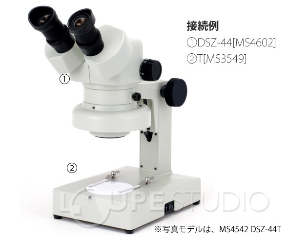 実物のイメージ 