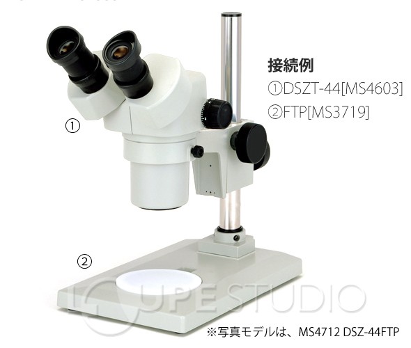 実物のイメージ 