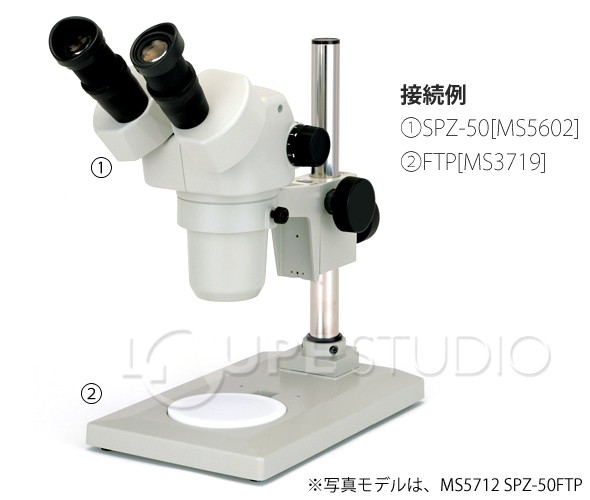 実物のイメージ 