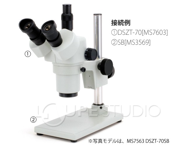 実物のイメージ