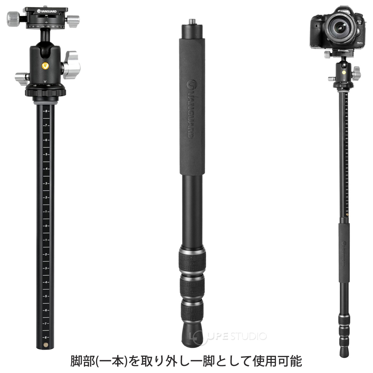 脚部(一本)を取り外し一脚として使用可能 