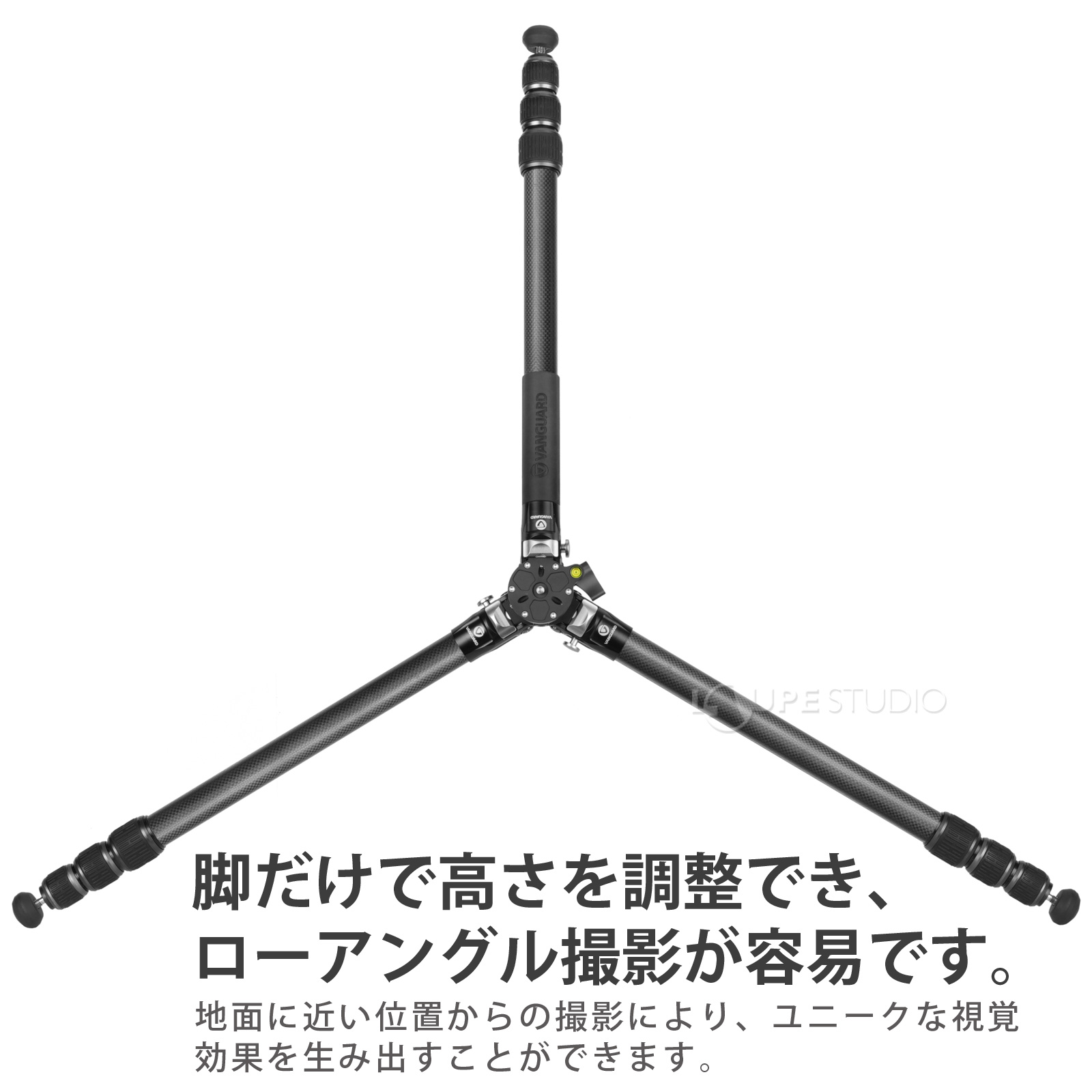 ローアングル撮影 