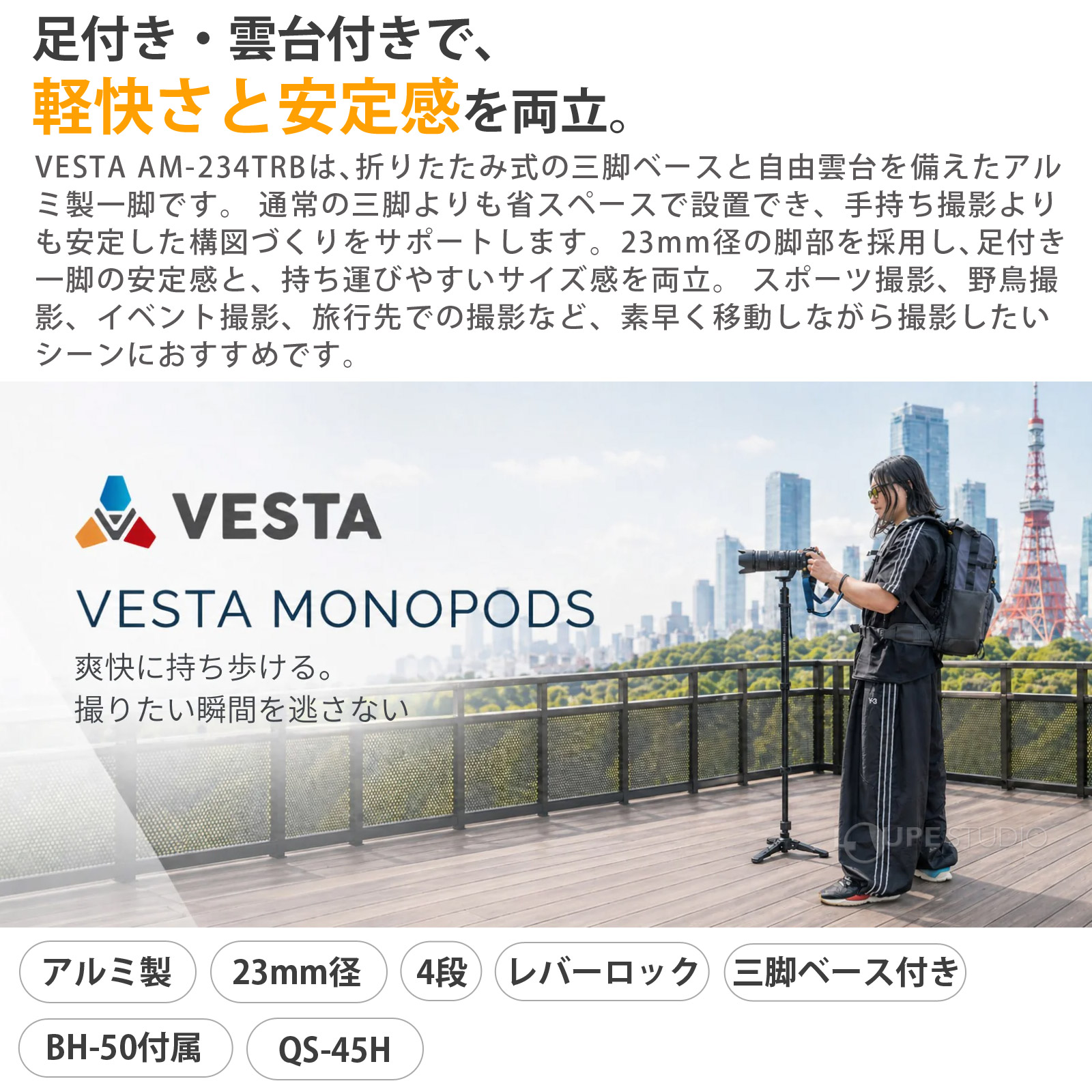 VESTA 