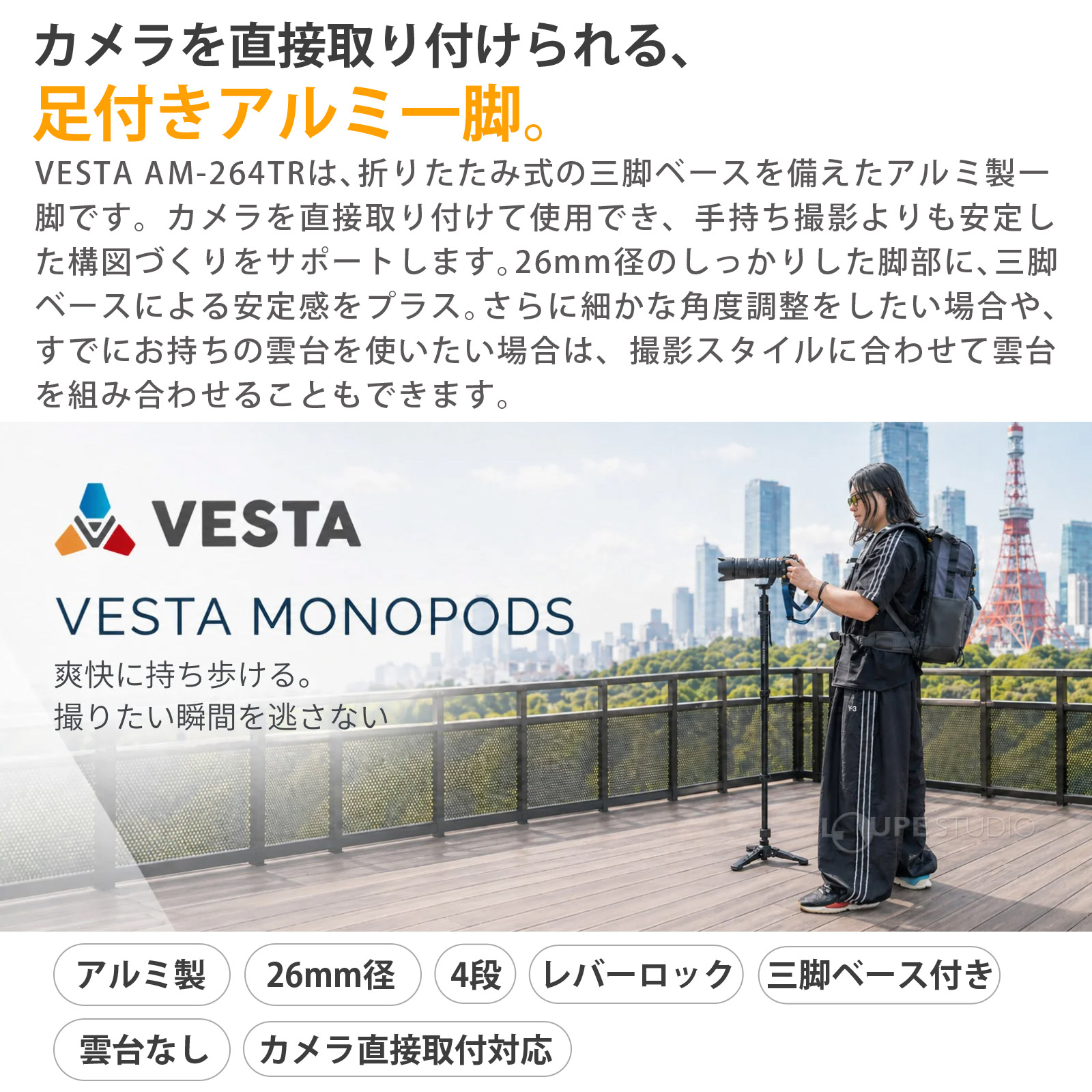 VESTA 