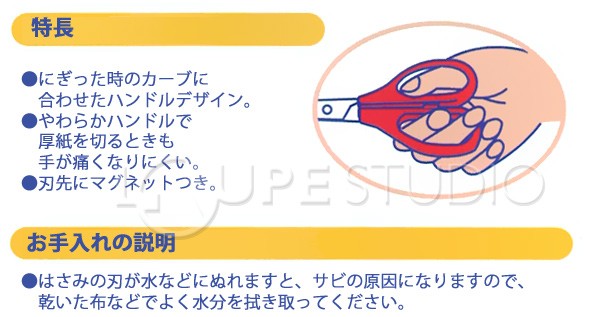 特長 