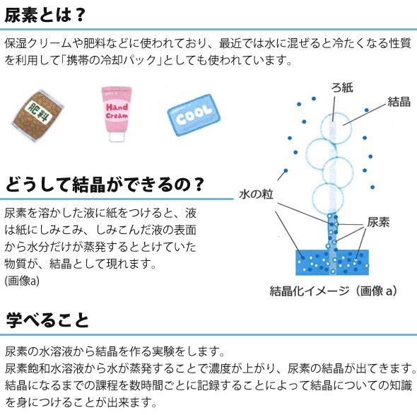 尿素とは 