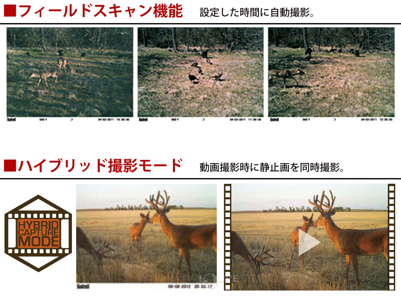 フィールドスキャン機能&ハイブリッド撮影モード 